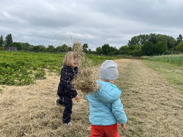 Kinder, die auf einem Feld spielen. Ein Kind wirft dem anderen Stroh zu.