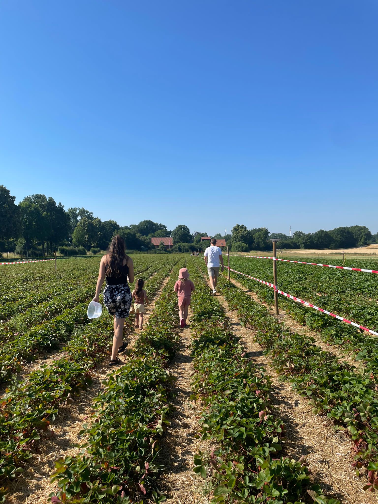 Ausflug auf das Erdbeerfeld