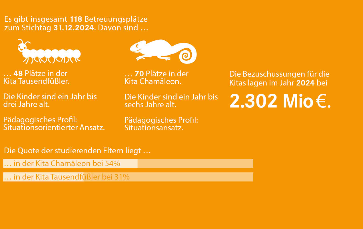 Grafik über die Kitas.